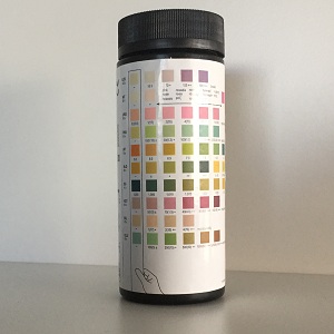 STRISCE URINE 10 PARAMETRI