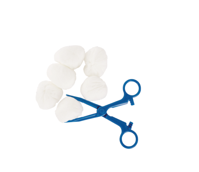 SET DISINFEZIONE: 1 PINZA KOCHER, 6 TAMPONI TNT