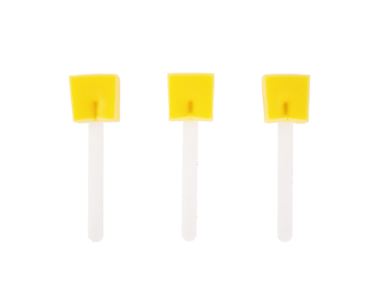 SET DISINFEZIONE 3 SPUGNETTE A BASTONCINO 18cm